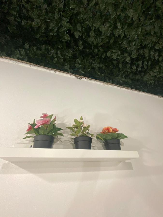 Apartment Alfa Casa Vacanze Catania